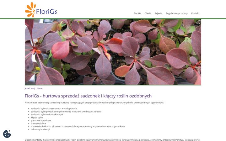 Screenshot of florigs.pl