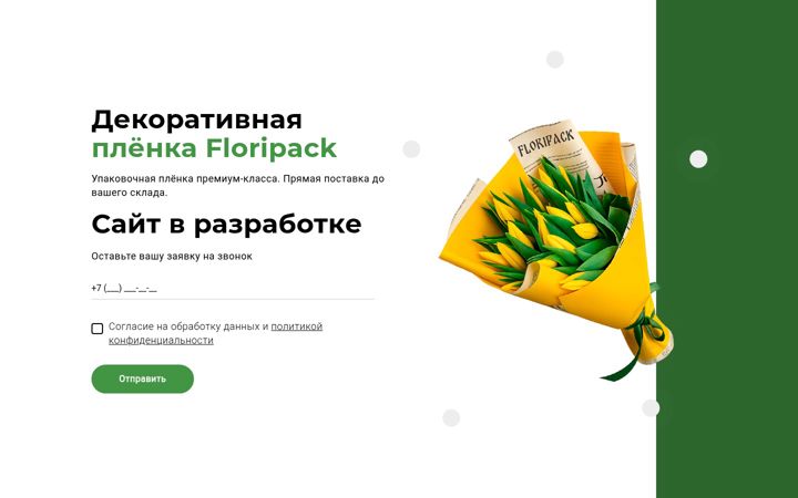 Screenshot of floripack.ru
