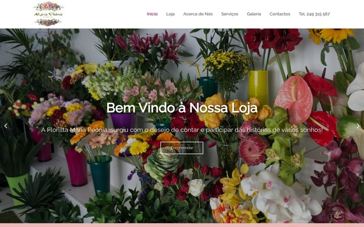 Screenshot of floristamariapeonia.com