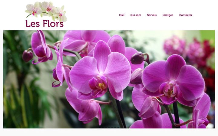 Screenshot of floristerialesflors.com
