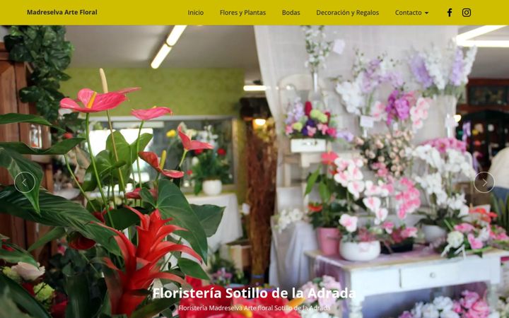 Screenshot of floristeriamadreselva.net