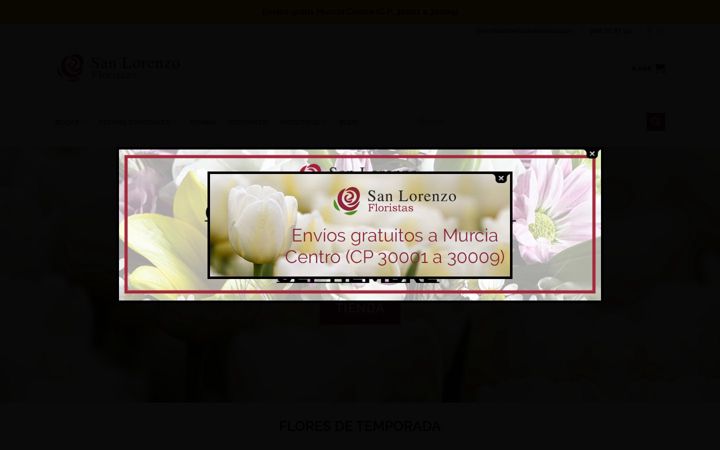Screenshot of floristeriasanlorenzo.com