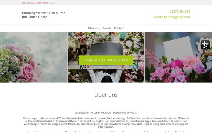 Snímek obrazovky floristik-pusteblume-wildau.de