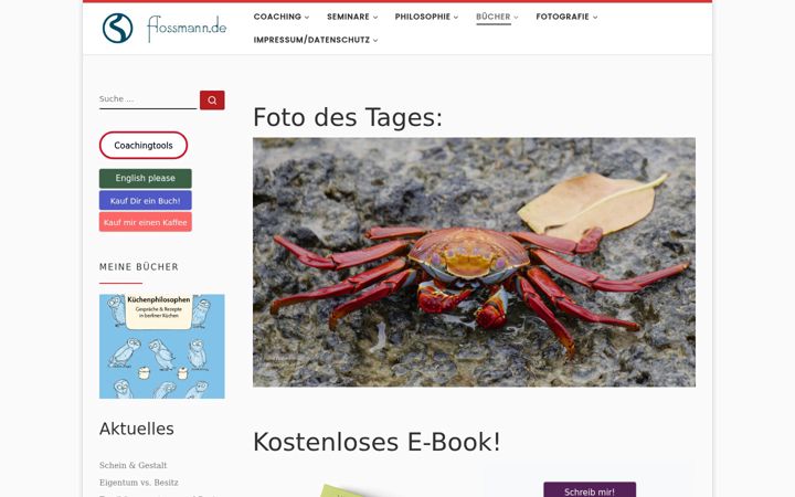 Screenshot of flossmann.de
