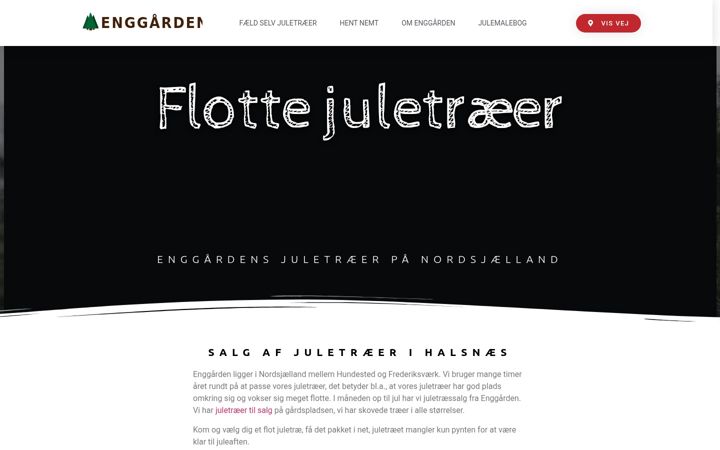 Screenshot of flottejuletraeer.dk