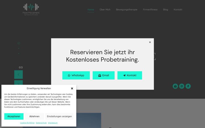 Screenshot ta' flow-movement.de