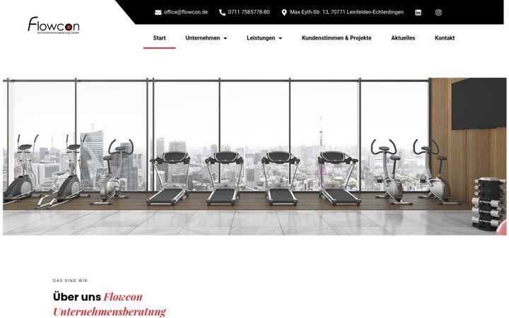 Captura de ecrã de flowcon-unternehmensberatung.de