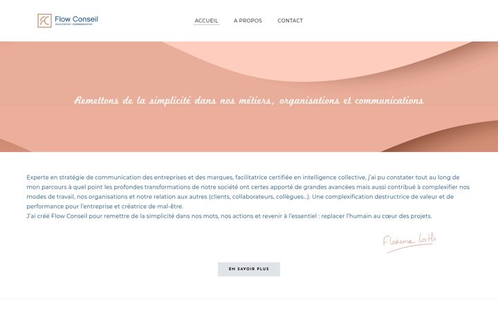 Screenshot of flowconseil.fr