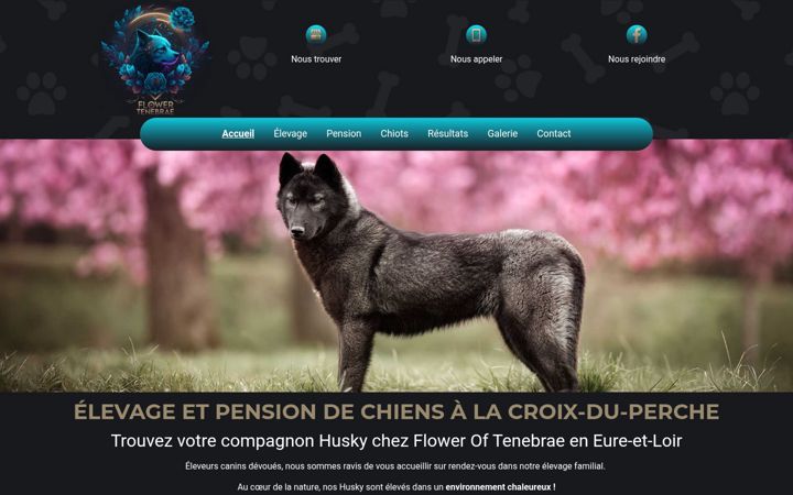 Screenshot of flower-of-tenebrae.fr