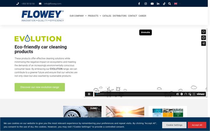 Screenshot of flowey.com
