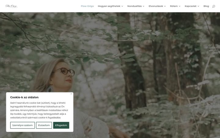 Screenshot of floworigo.com