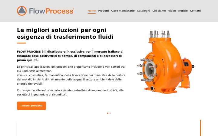 Screenshot of flowprocess.it
