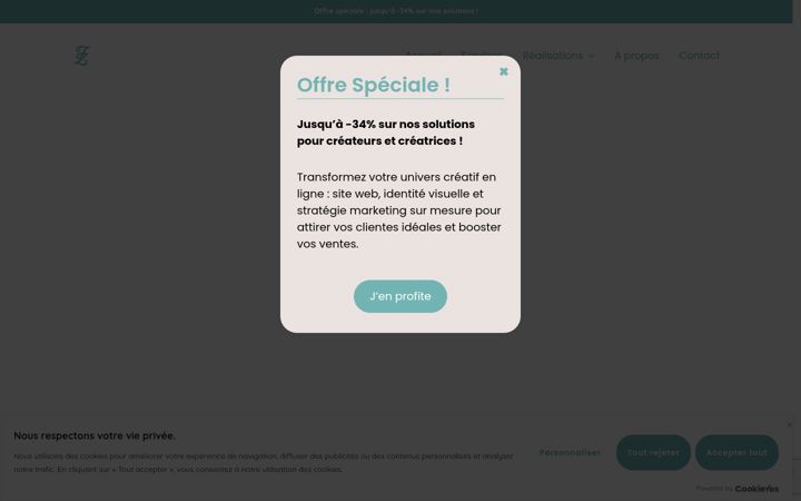 Screenshot of flowzenasolutions.com