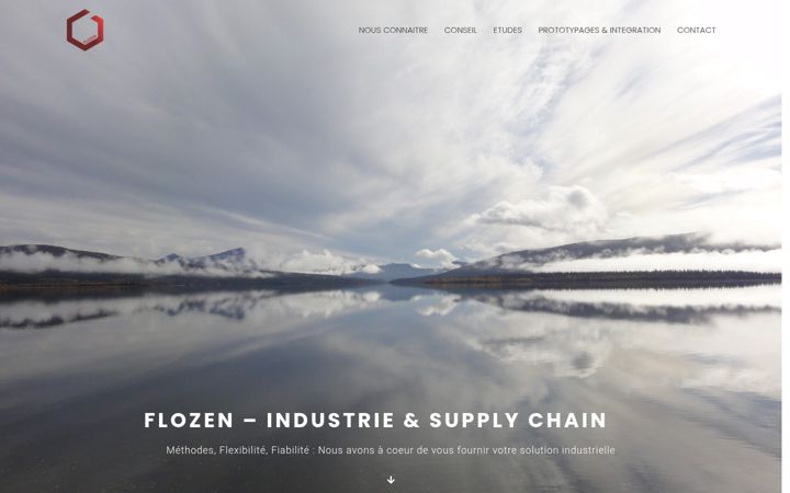 Screenshot of flozen.fr