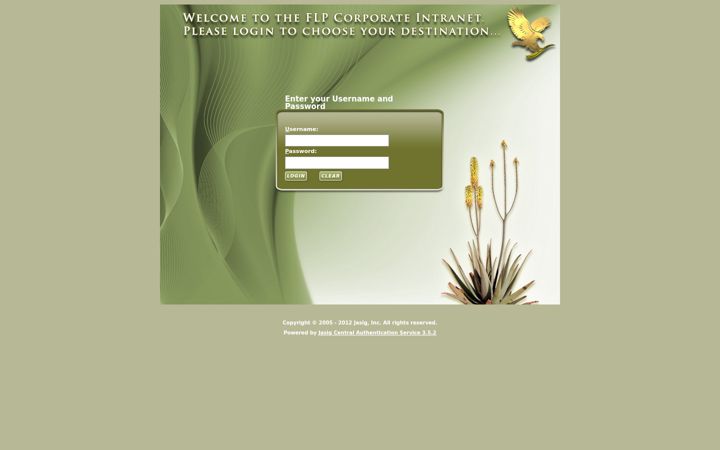 Screenshot of flpi.com