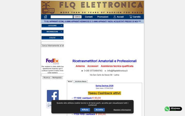 Screenshot of flqelettronica.it