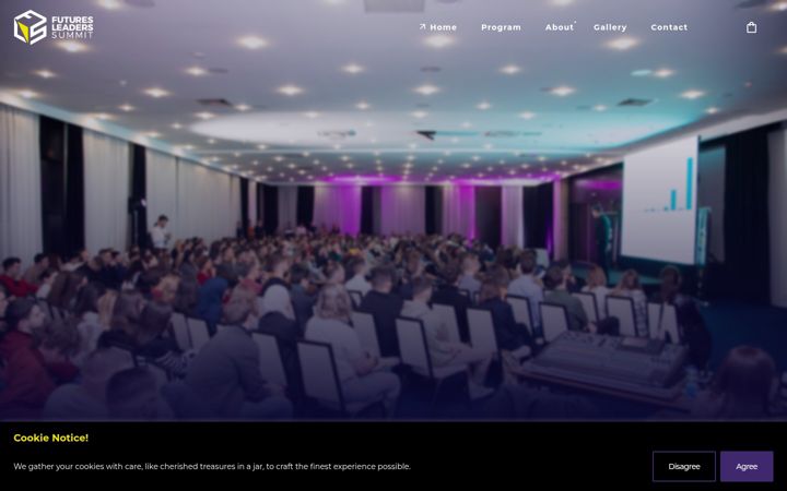 Screenshot of fls.ba