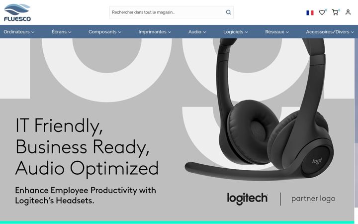 Screenshot of fluesco.com