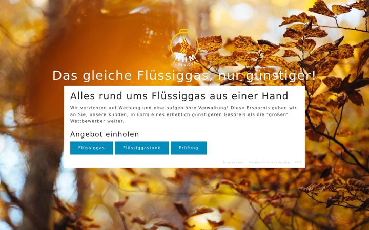 Screenshot of fluessiggas-preis.de