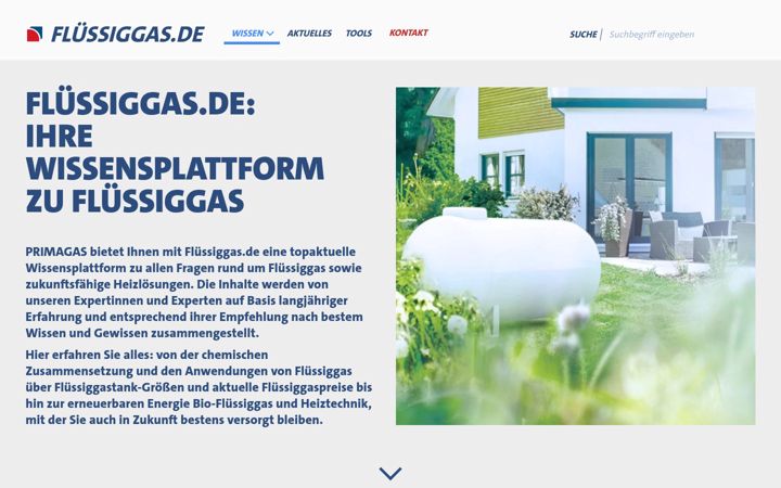 Screenshot of fluessiggas.de