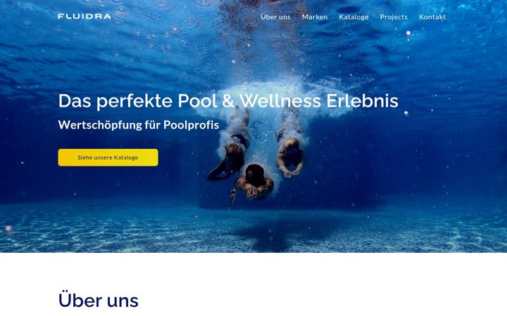 Screenshot of fluidra.ch