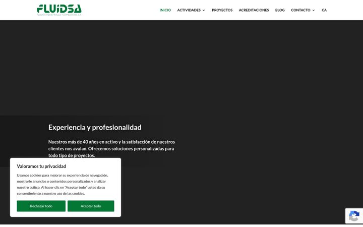 Screenshot of fluidsa.com