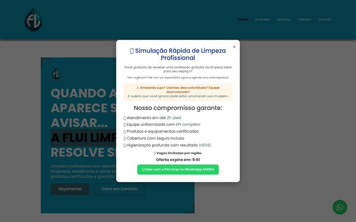 Skärmbild av fluilimp.com.br