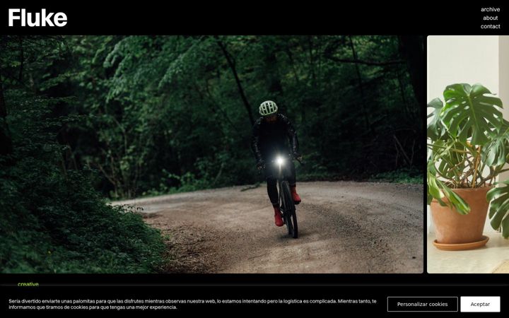 Screenshot of flukevisuals.com