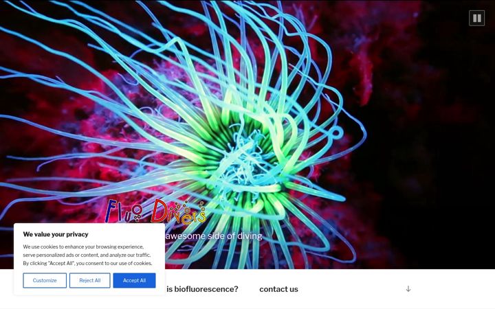 Screenshot of fluodivers.com