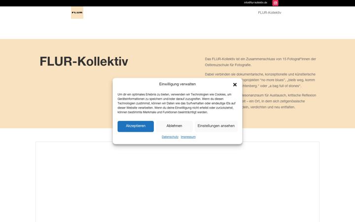 Screenshot ta' flur-kollektiv.de
