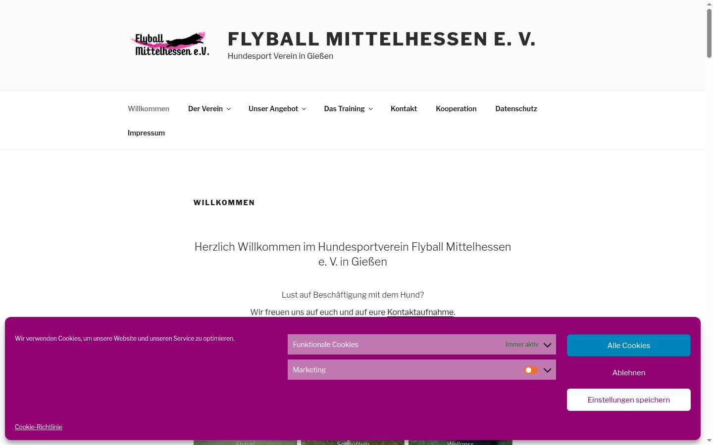 Screenshot tal-banner tal-kunsens muri qabel kwalunkwe interazzjoni