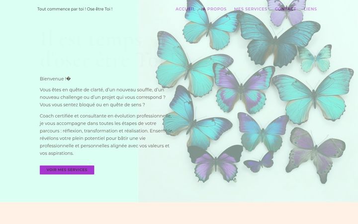 Screenshot of flybycaro.com