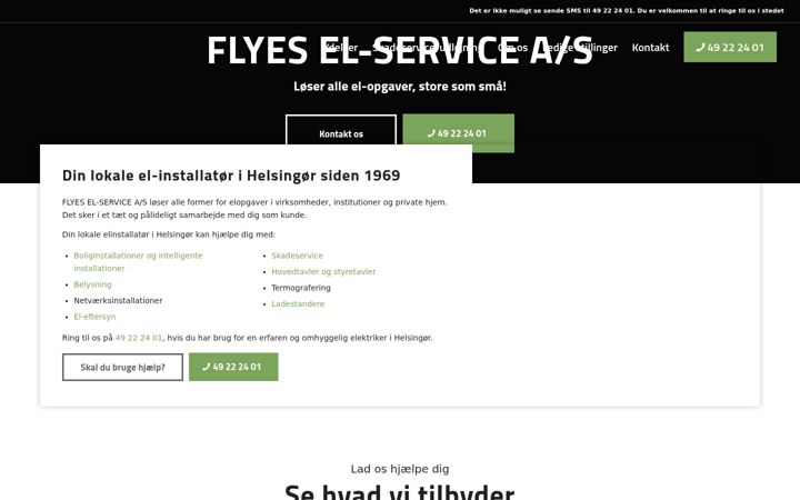 Screenshot of flyes-el.dk