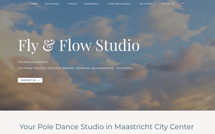 Screenshot of flyflowstudio.nl