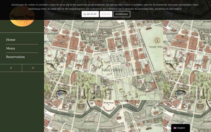 Screenshot of flygarnshagagoteborg.se