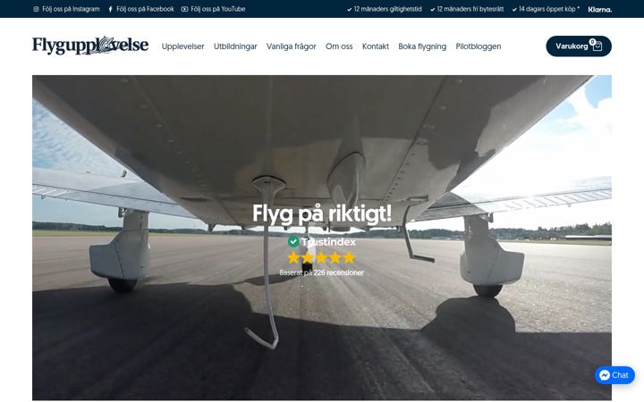 Screenshot of flygupplevelse.com
