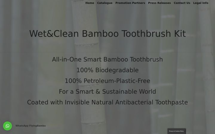 Screenshot of flyingbambu.com