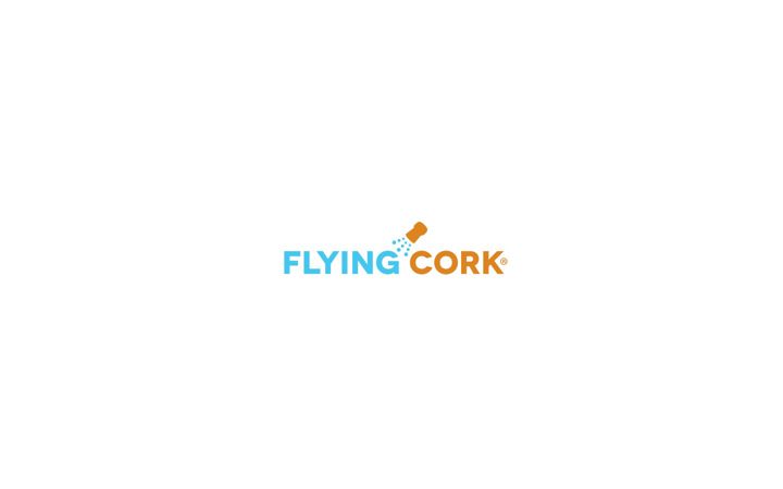 Screenshot of flyingc4.net