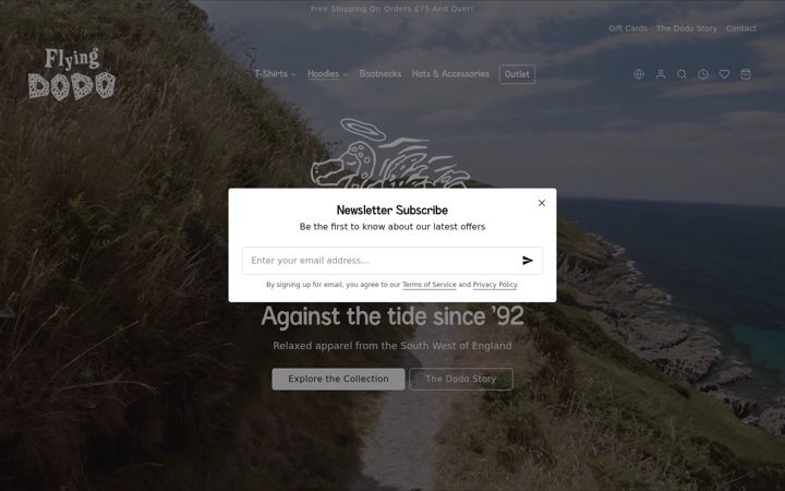 Screenshot of flyingdodoclothing.co.uk