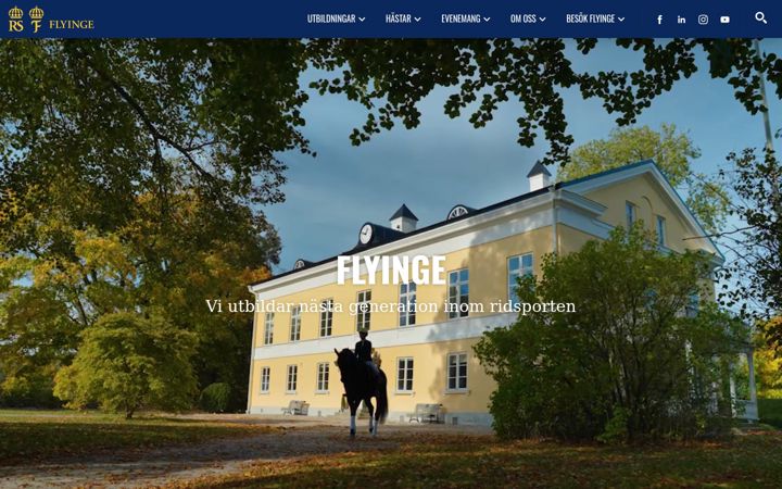 Screenshot of flyinge.se