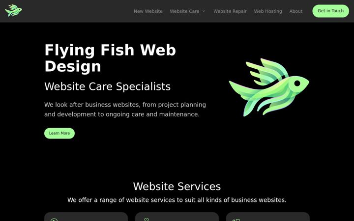 Screenshot of flyingfish.ie