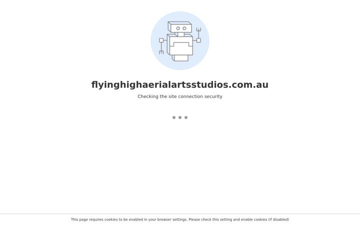 Screenshot of flyinghighaerialartsstudios.com.au