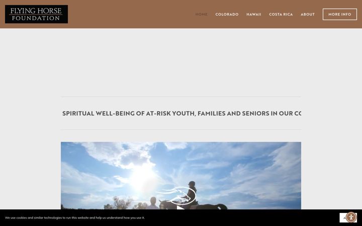 Screenshot of flyinghorsefoundation.org