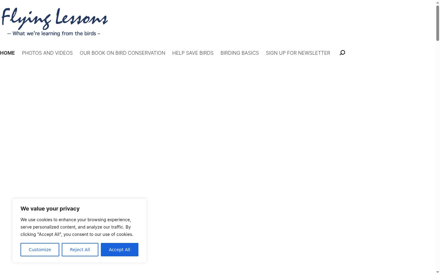 Screenshot des Einwilligungsbanners vor jeglicher Interaktion