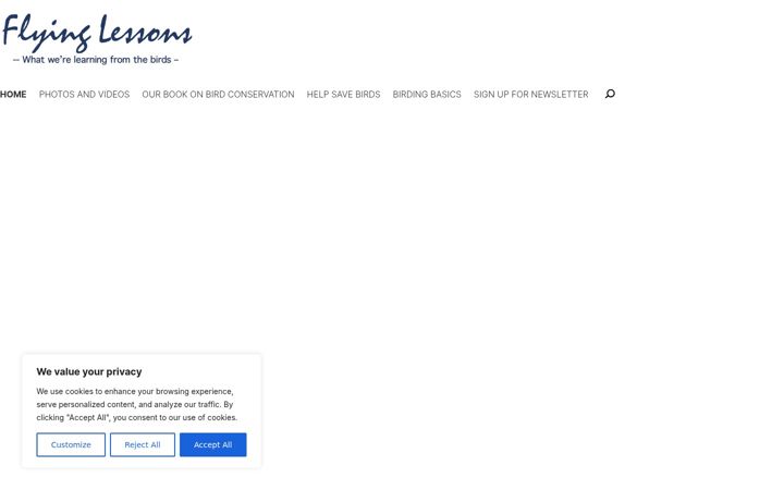 Screenshot of flyinglessons.us