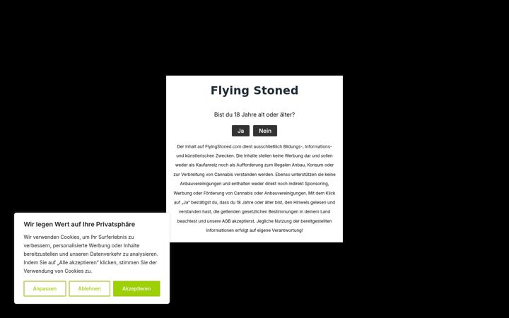 Screenshot of flyingstoned.com