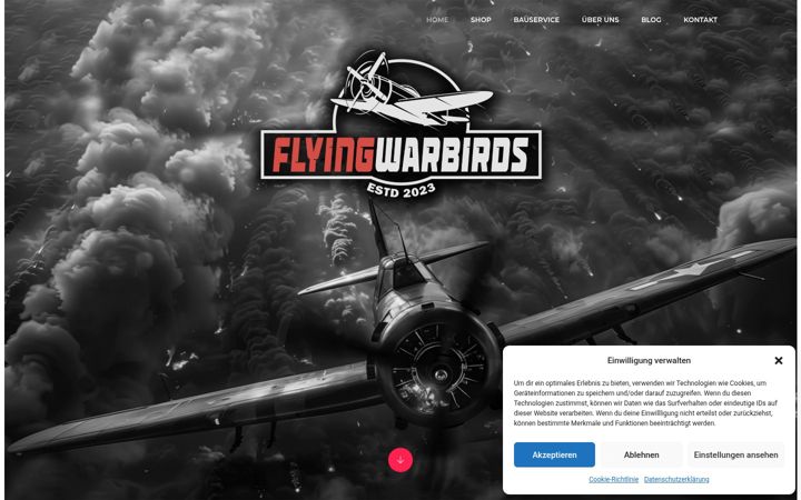 Capture d'écran de flyingwarbirds.de