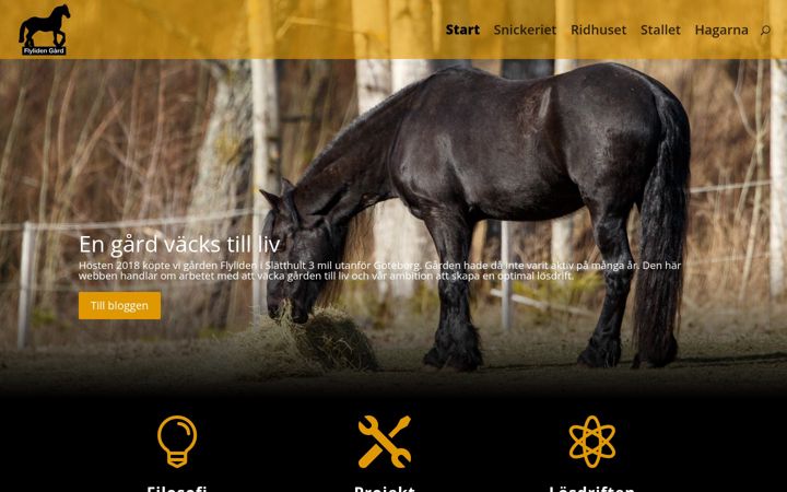 Screenshot of flylidengard.se