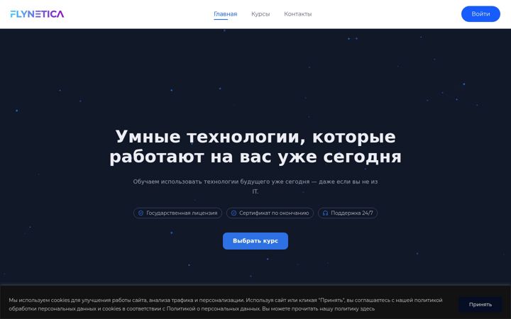 Screenshot of flynetica.ru
