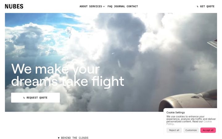 Screenshot of flynubes.com